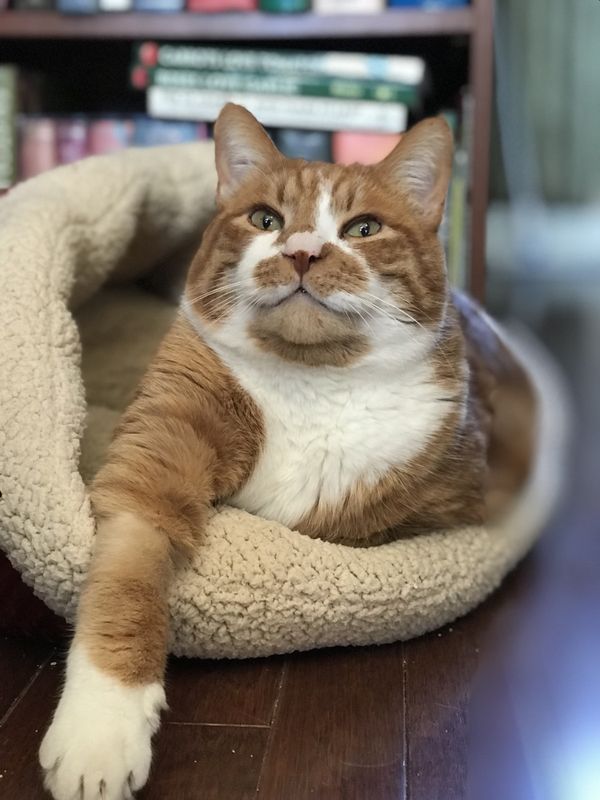 PJ